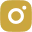 Icone do Instagram